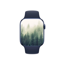 Smartwatches